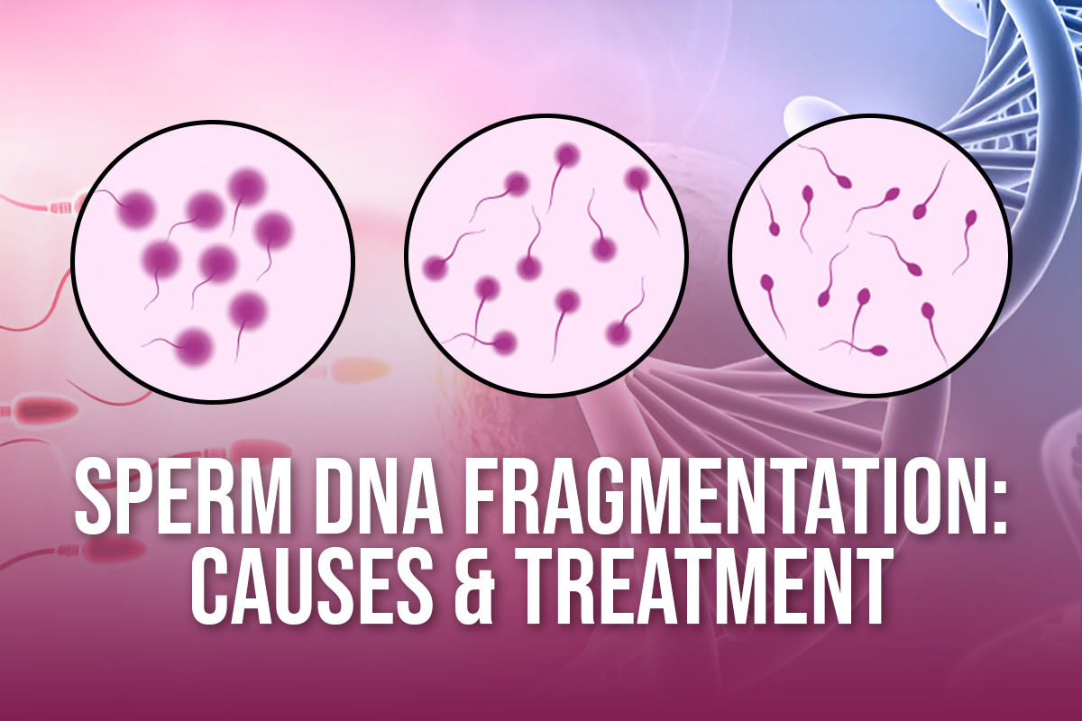 Everything You Need to Know About In Vitro Fertilization