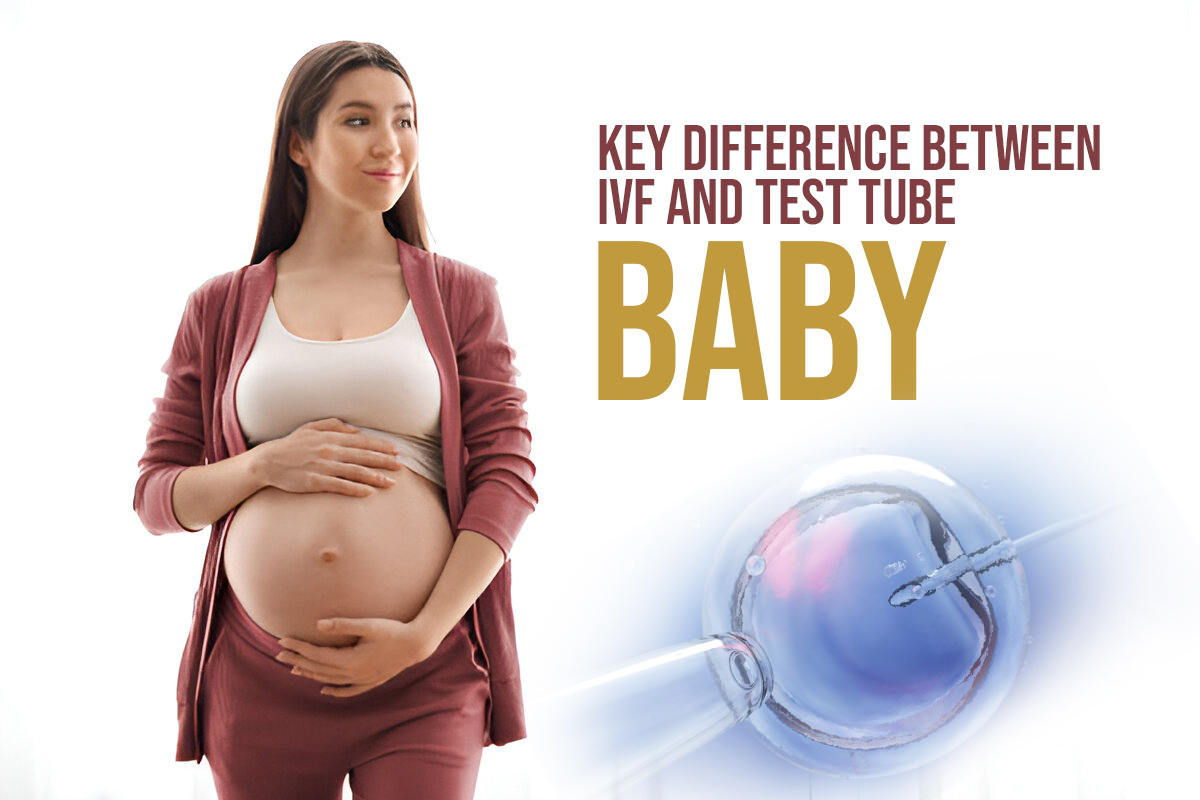 Key Difference Between IVF and Test Tube Baby