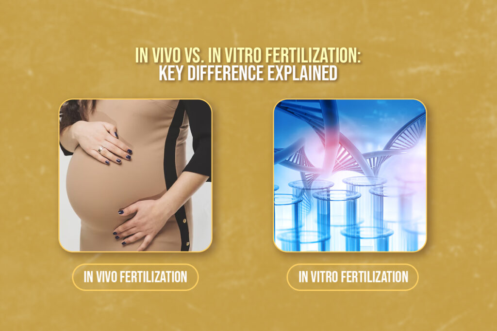 In Vivo vs. In Vitro Fertilization Key Differences Explained Corion — free download