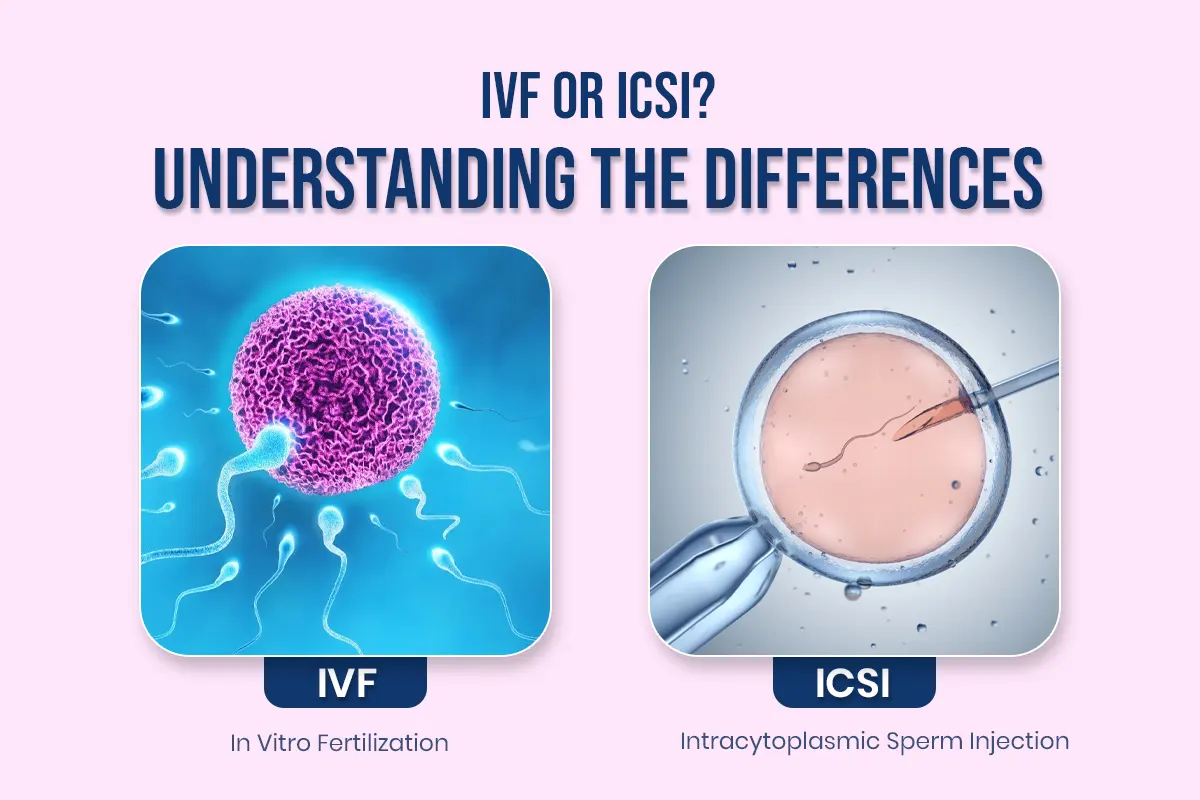IVF or ICSI? Understanding the Differences & Choosing What’s Best for You Featured Image