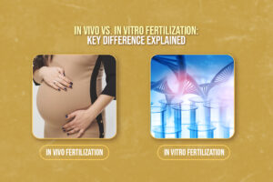 In Vivo vs. In Vitro Fertilization: Key Differences Explained Featured Image