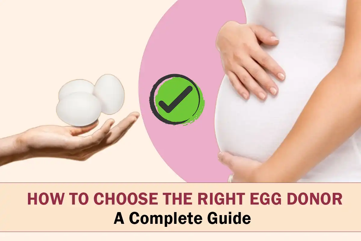 How to Choose the Right Egg Donor: A Complete Guide blog featured image