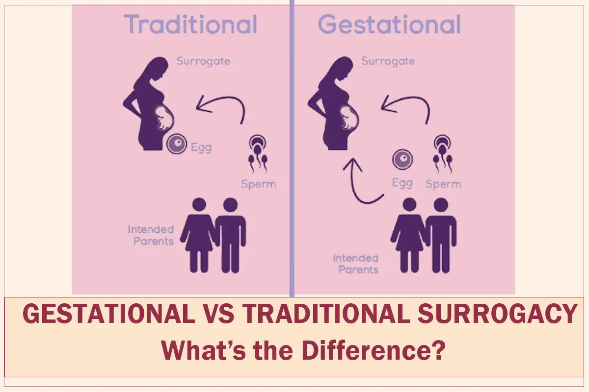 Gestational vs. Traditional Surrogacy: What’s the Difference? Blog cover image