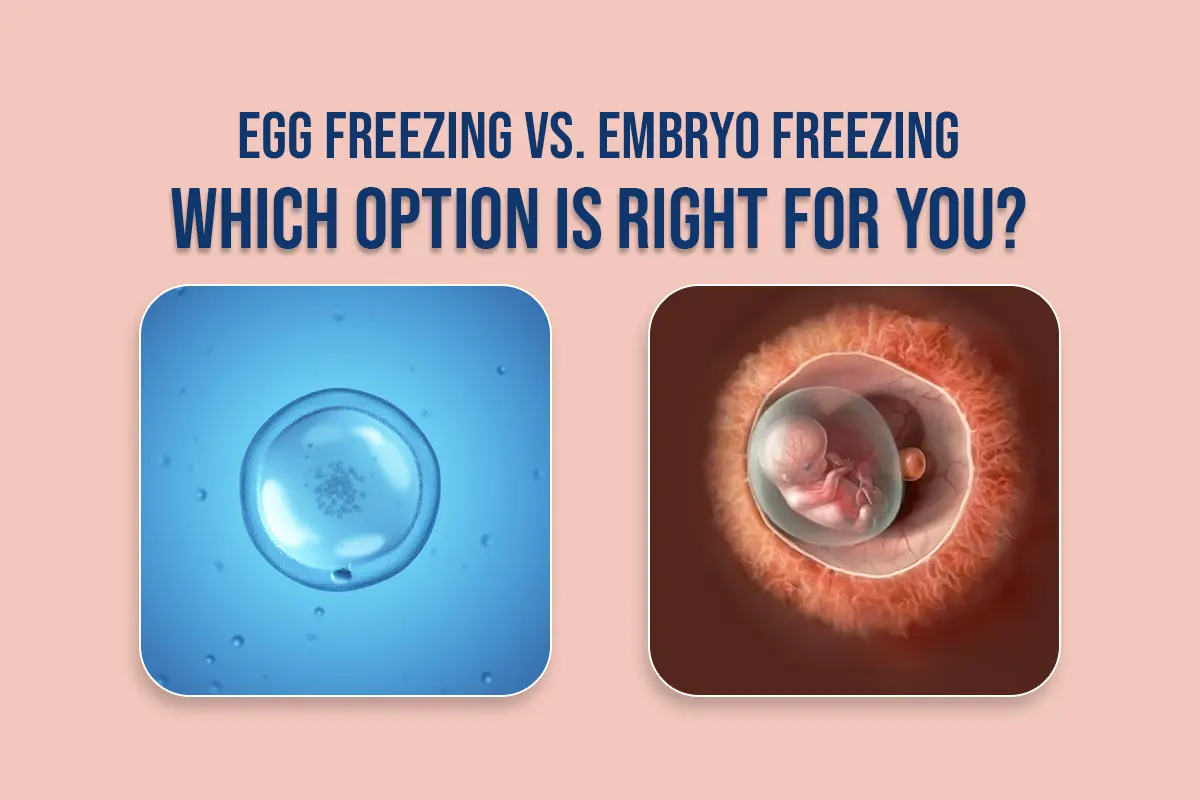 Egg Freezing vs. Embryo Freezing blog featured image