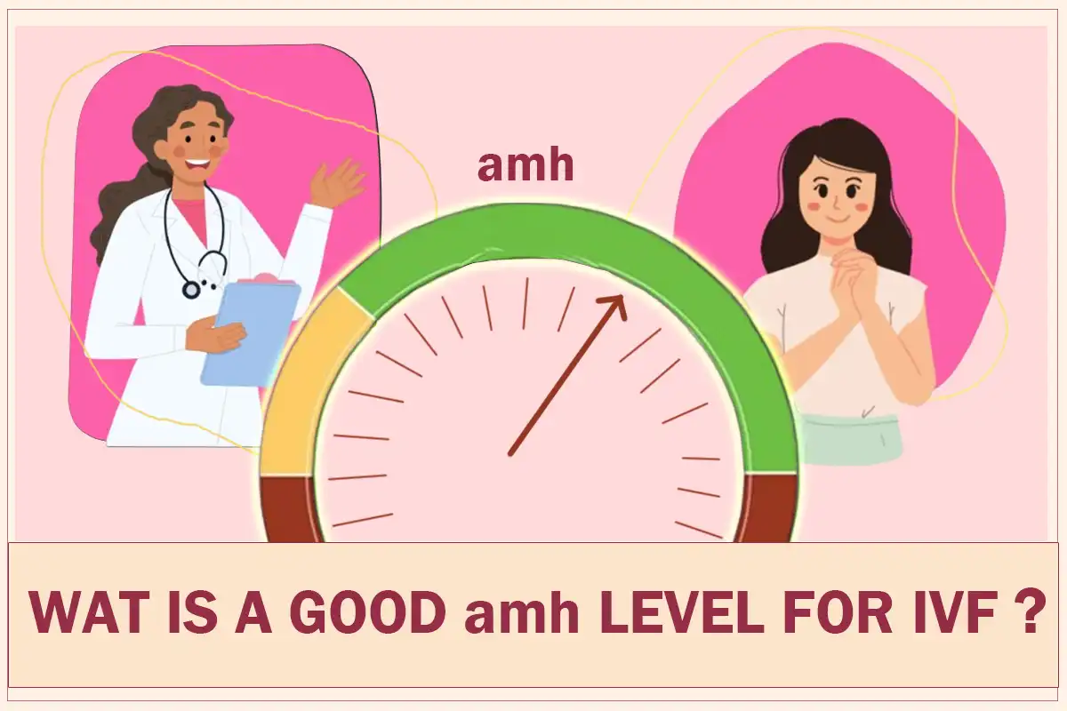 What Is A Good AMH Level For IVF? Blog Featured Image