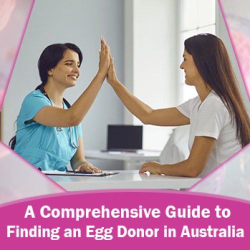 A Comprehensive Guide To Finding an Egg Donor in Australia