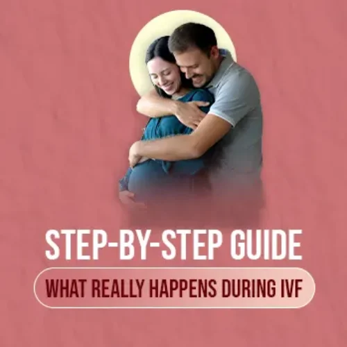 Step-by-Step Guide: What Really Happens During IVF Blog Image