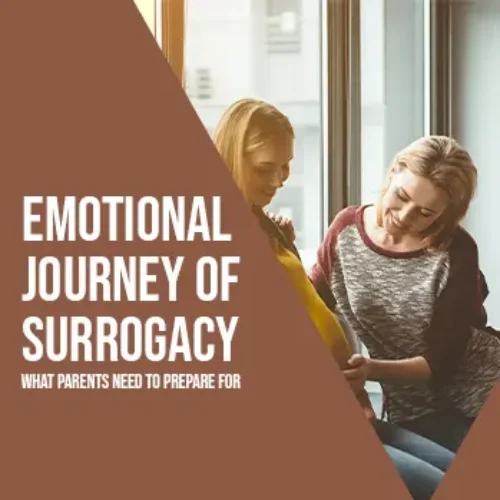 Emotional Journey of Surrogacy blog cover image