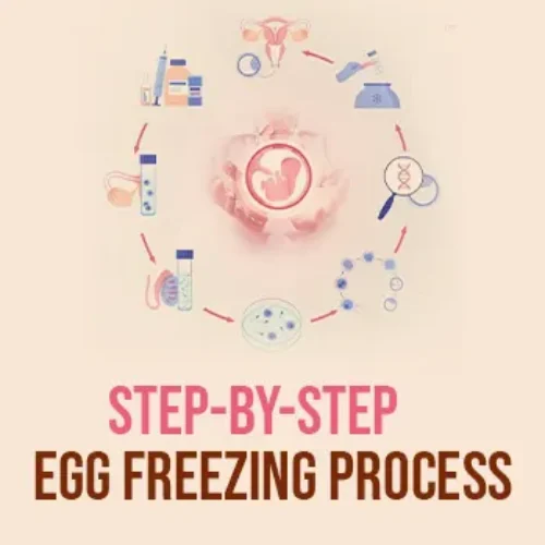 Step-by-Step Egg Freezing Process blog cover image