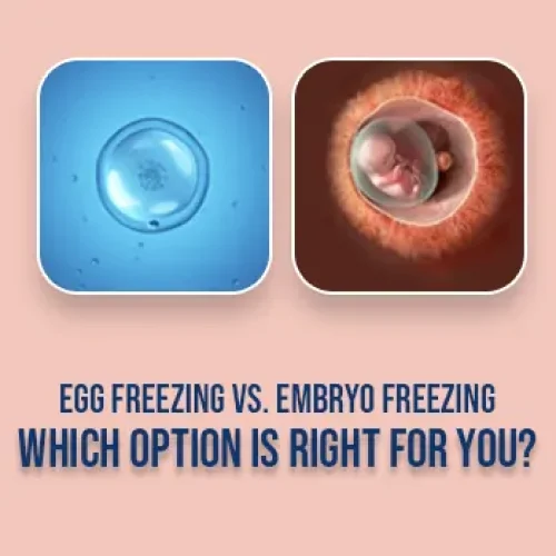 Egg Freezing vs. Embryo Freezing blog featured image