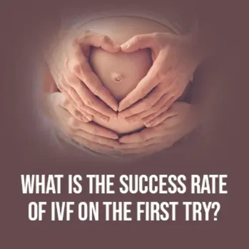 What is the Success Rate of IVF on the First Try?