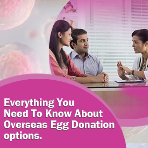 Everything You Need To Know About Overseas Donor Egg IVF Options