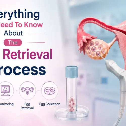 Everything You Need To Know About The Egg Retrieval Process