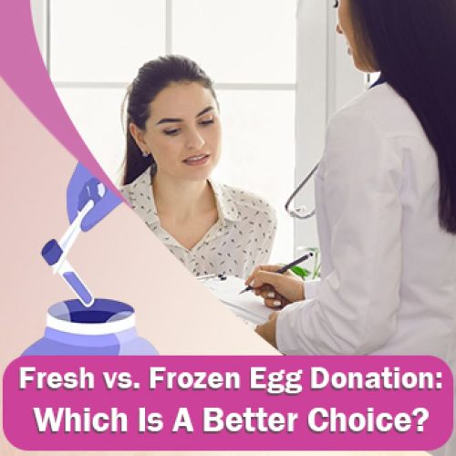 Fresh vs. Frozen Egg Donation: Which Is A Better Choice?