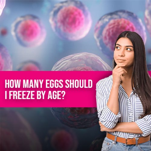 How Many Eggs Should Freez Image