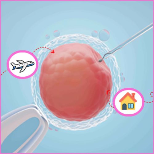 IVF Treatment Abroad vs Home Country: Pros & Cons