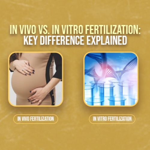 In Vivo vs. In Vitro Fertilization_ Key Difference Explained Images