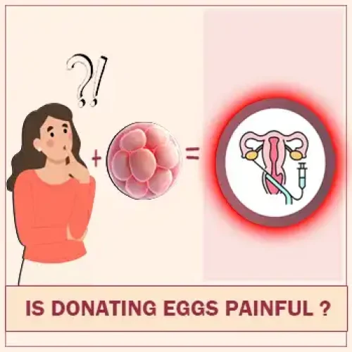 Is donating eggs painful mobile cover image