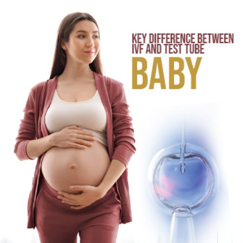 Key Difference Between IVF and Test Tube Baby Image