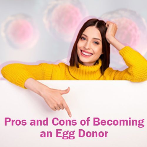 What Are The Pros And Cons Of Becoming An Egg Donor?