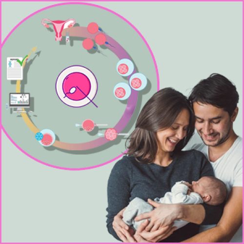 The Fertility Treatment Timeline for International Patients