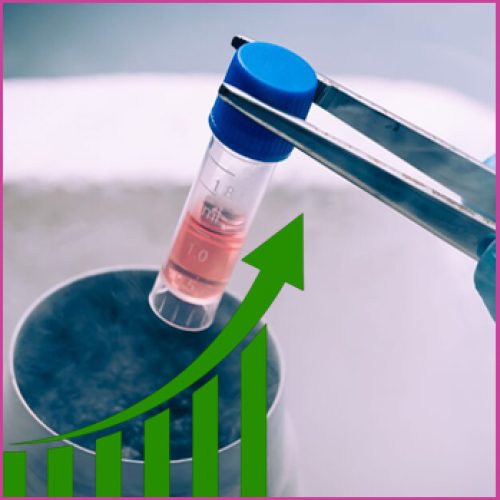 Understanding Egg Freezing Success Rates For Women