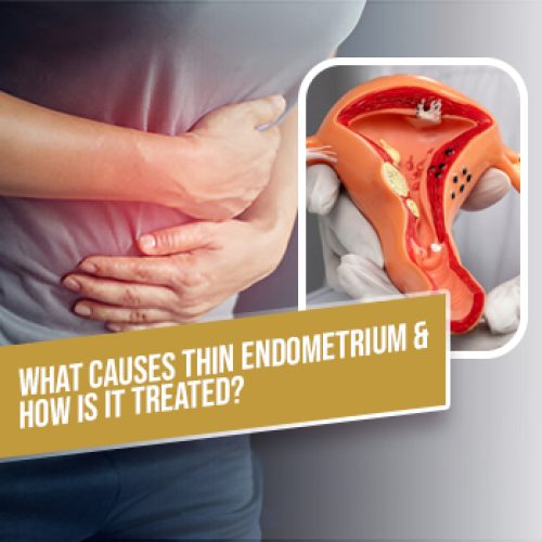 What Causes Thin Endometrium & How Is It Treated Images