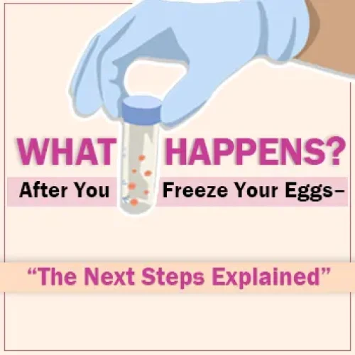 What Happens After You Freeze Your Eggs—The Next Steps Explained Blog Featured Image