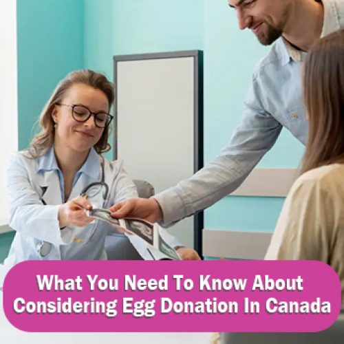 What You Need To Know About Considering Egg Donation in Canada