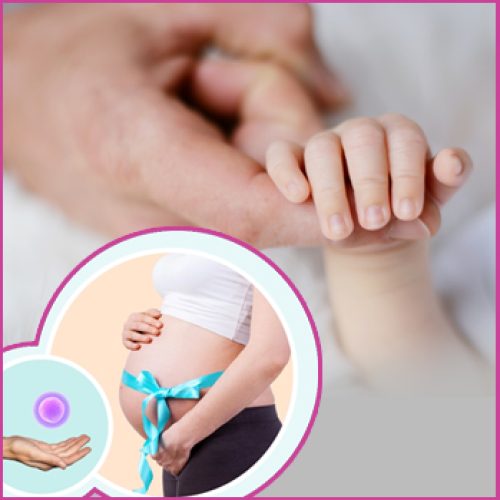 Whose Eggs Are Used in Surrogacy? A Clear Explanation for Intended Parents