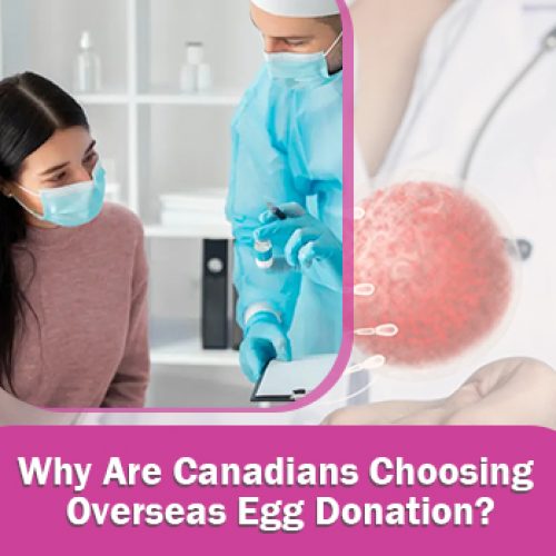 Why Are Canadians Choosing Overseas Egg Donation?