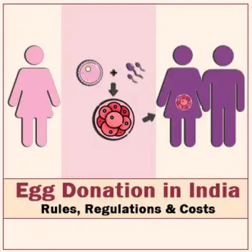 Egg Donation in India: Rules, Regulations & Costs blog cover image