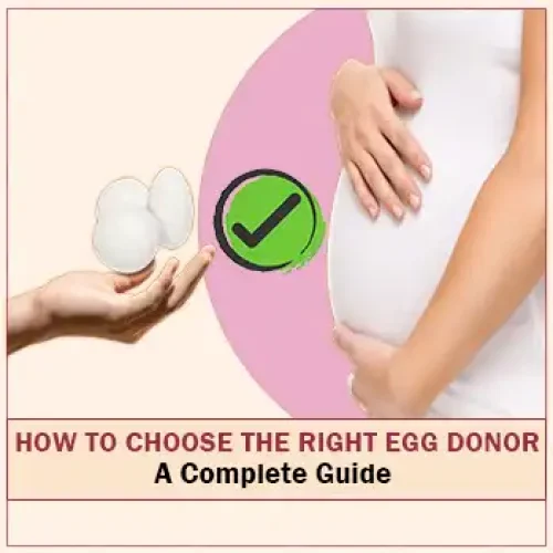 How to Choose the Right Egg Donor: A Complete Guide blog cover image