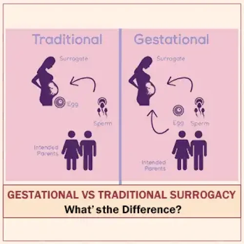 Gestational vs. Traditional Surrogacy: What’s the Difference? Blog cover image
